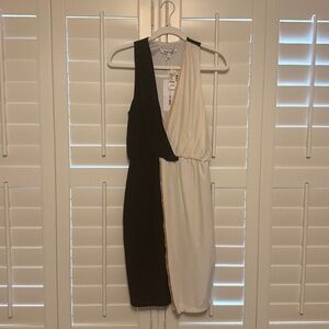 Elizabeth James Silk Dress